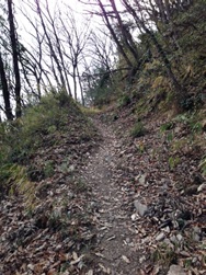 登山道3